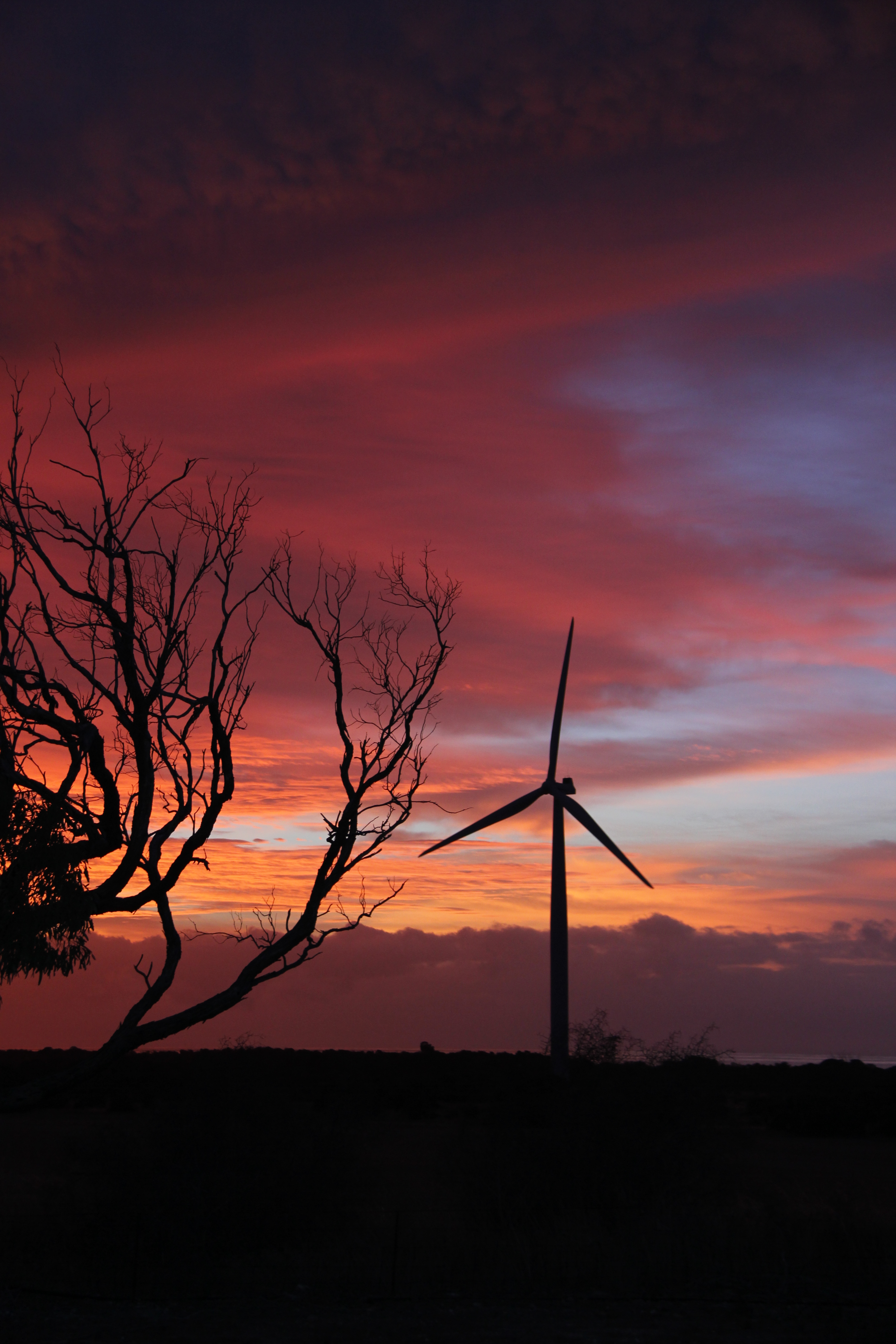 Windfarm